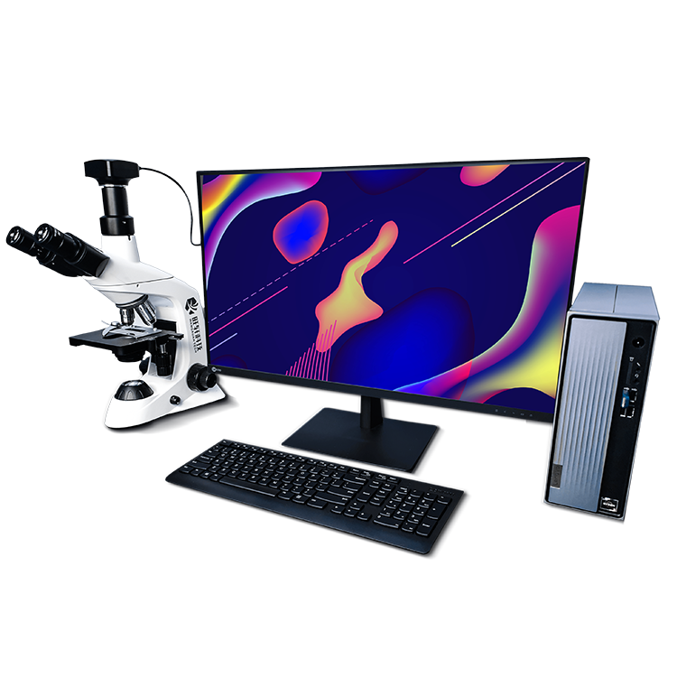 WXXYL-1 纖維吸油率測定儀1.png WXXYL-1 纖維吸油率測定儀1.png